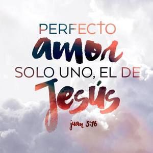 Meet your Posher, Amor